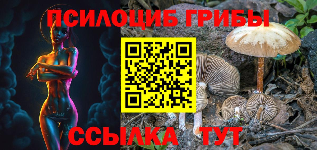 Галлюциногенные грибы Psilocybine cubensis Долгопрудный