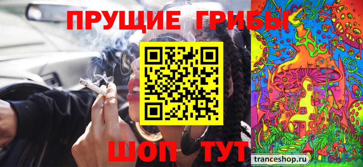 Долгопрудный  Галлюциногенные грибы Cubensis  Вход с VPN  Галлюциногенные грибы прущие грибы 