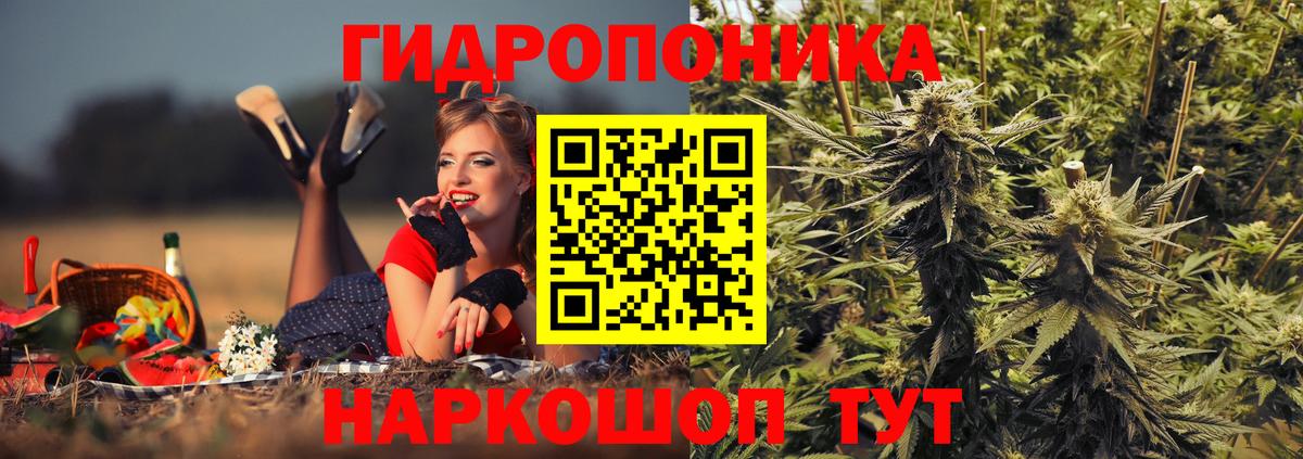 Канабис SATIVA & INDICA Долгопрудный